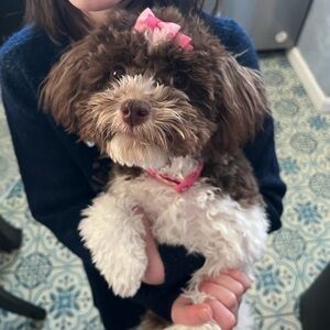 Meet your Posher, Jennifer